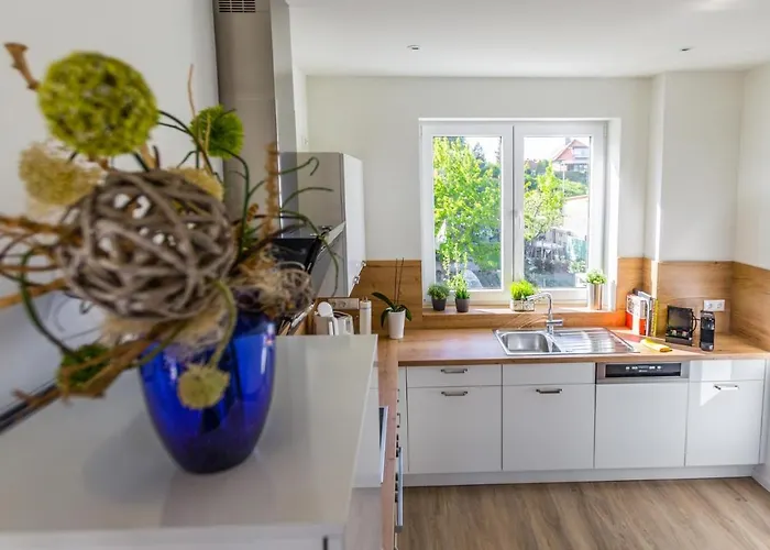 Hangar 19 Luxusapartment Mit Sauna, Kamin Und Seeblick H4w3